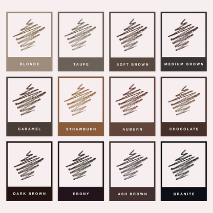 ANASTASIA BEVERLY HILLS BROW CARE KIT